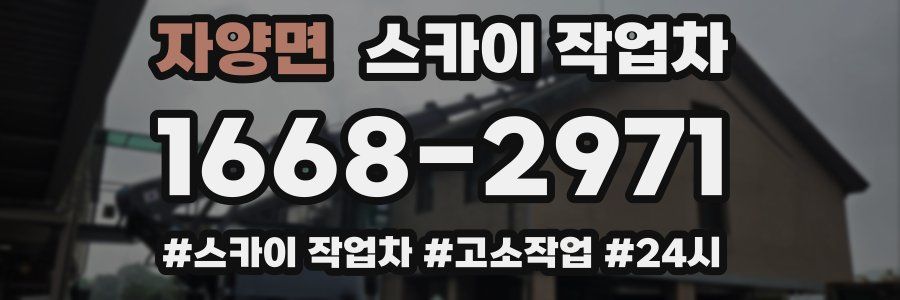 자양면 스카이 작업차