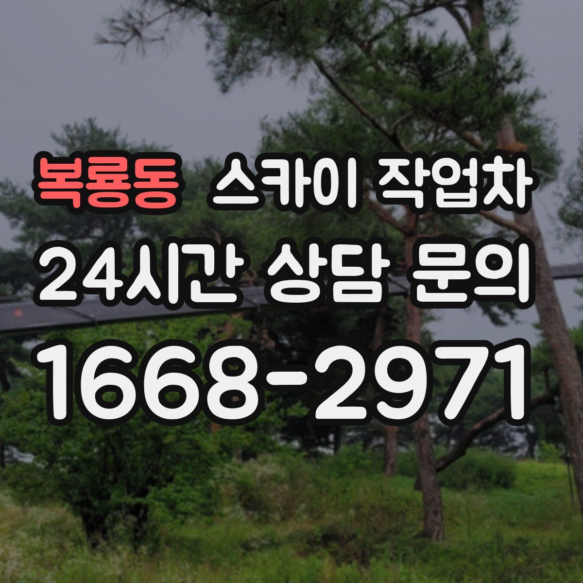 복룡동 스카이 작업차