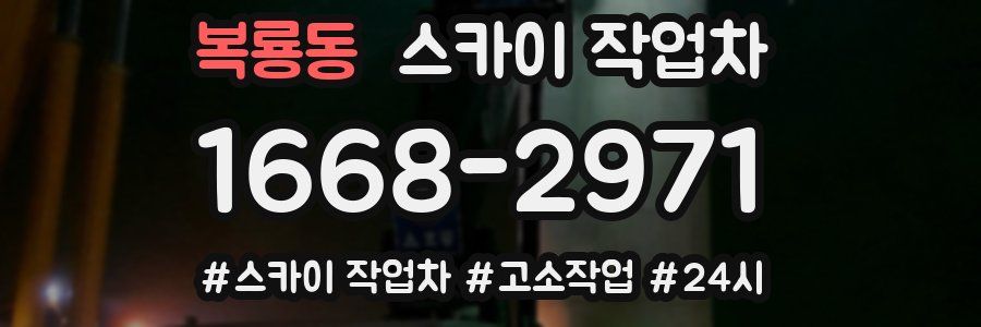 복룡동 스카이 작업차