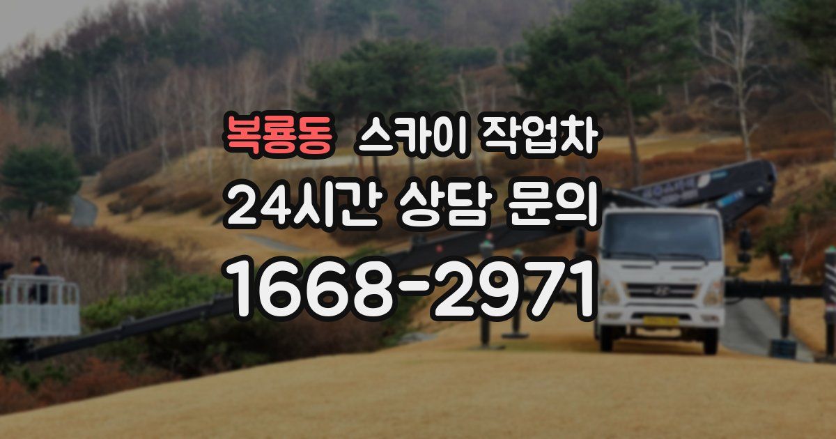 복룡동 스카이 작업차