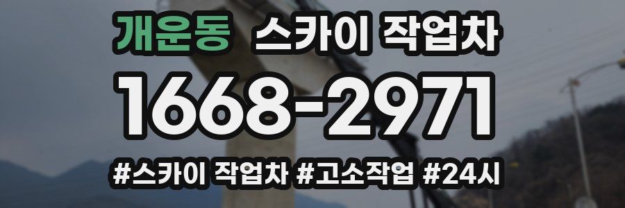 개운동 스카이 작업차