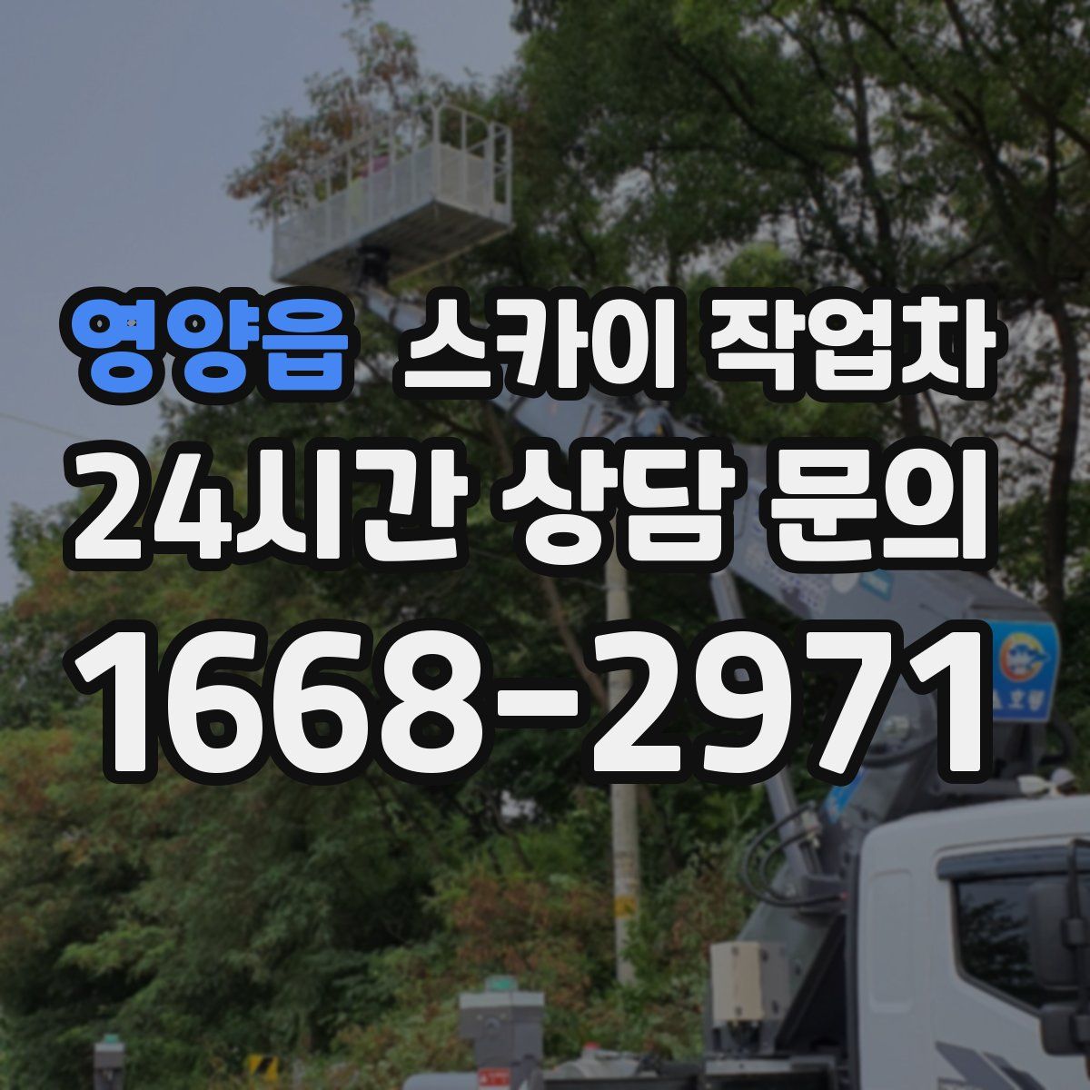 영양읍 스카이 작업차