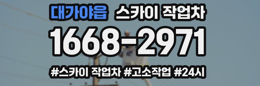 대가야읍 스카이 작업차