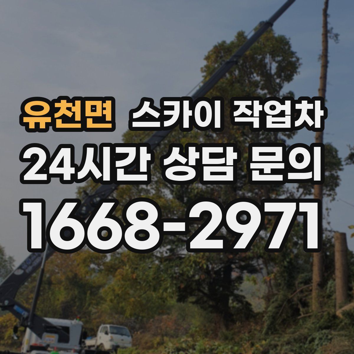 유천면 스카이 작업차