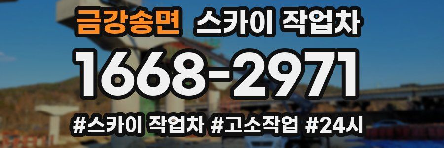 금강송면 스카이 작업차