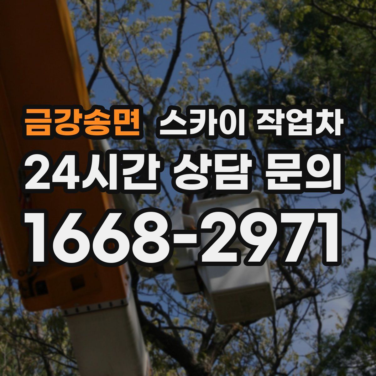 금강송면 스카이 작업차