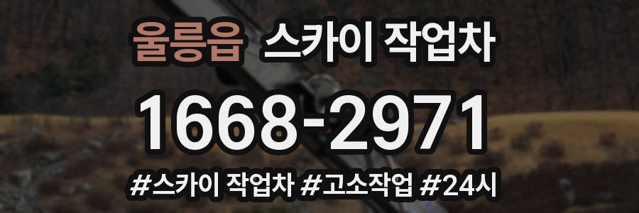 울릉읍 스카이 작업차