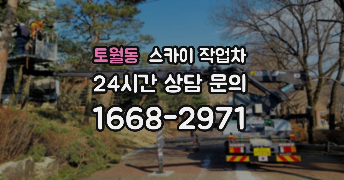 토월동 스카이 작업차