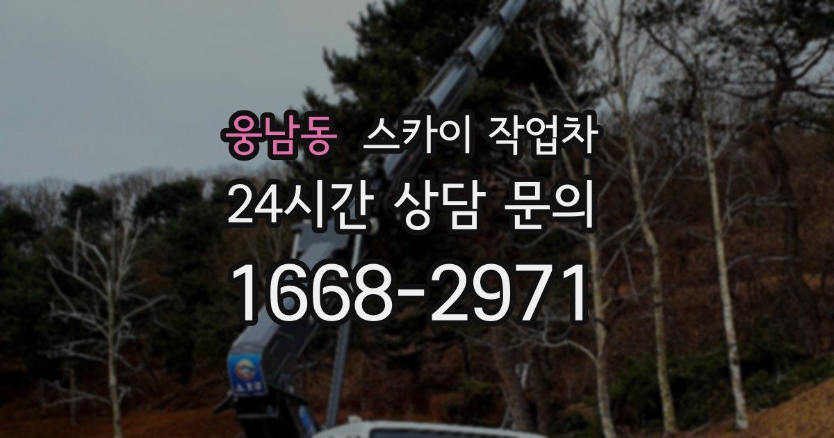 웅남동 스카이 작업차