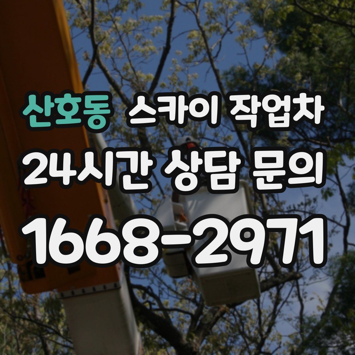 산호동 스카이 작업차