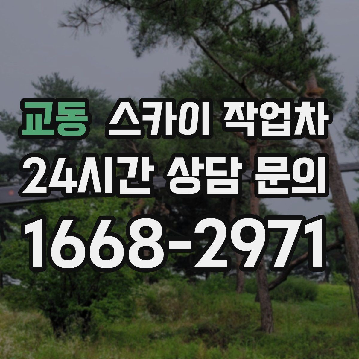 교동 스카이 작업차 준공 후 하자 점검을 고소에서 진행