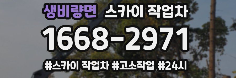 생비량면 스카이 작업차