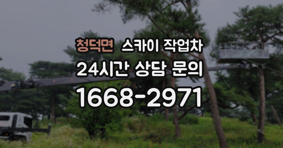 청덕면 스카이 작업차