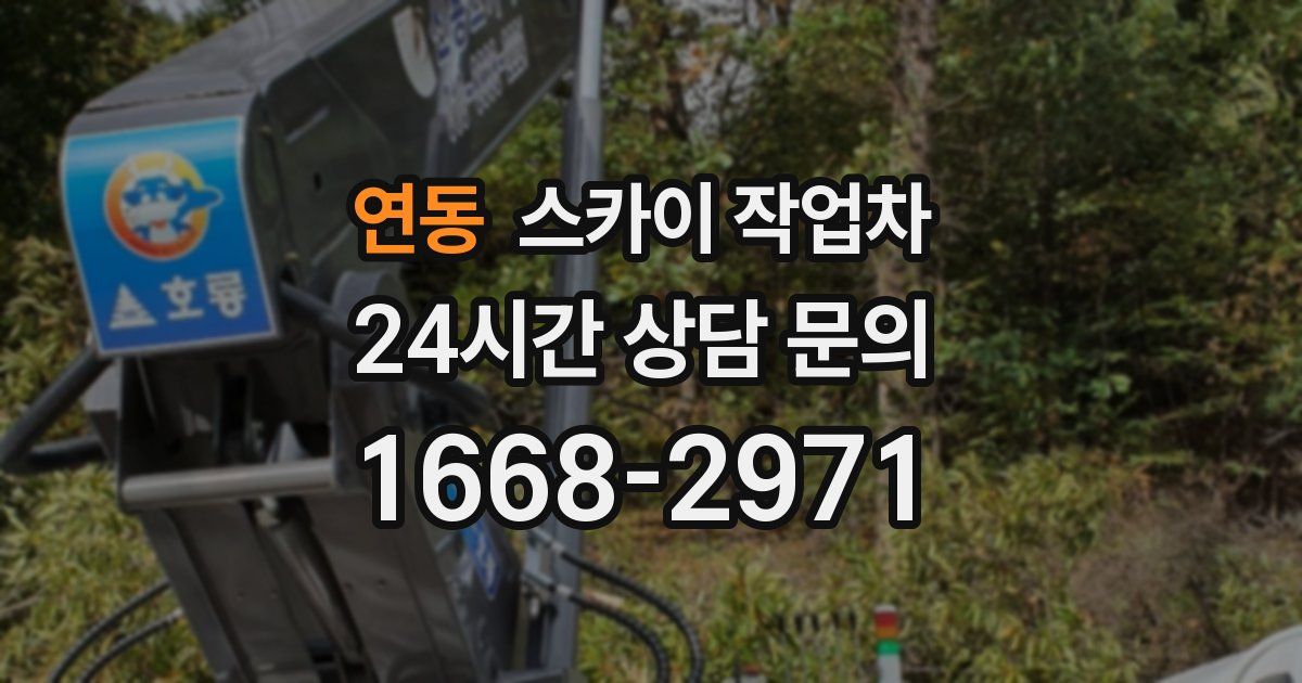 연동 스카이 작업차