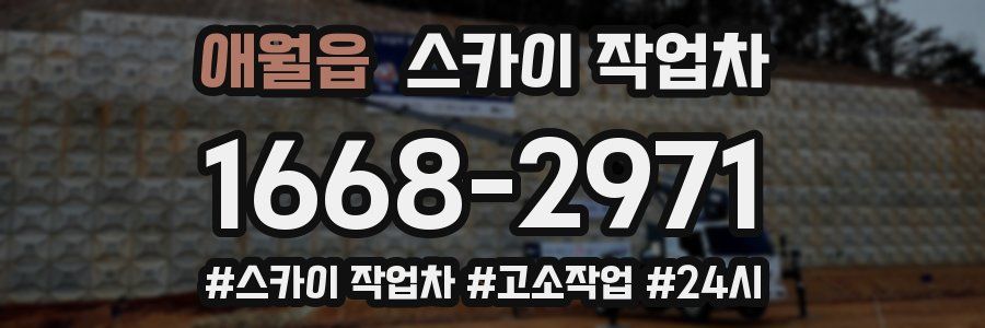 애월읍 스카이 작업차