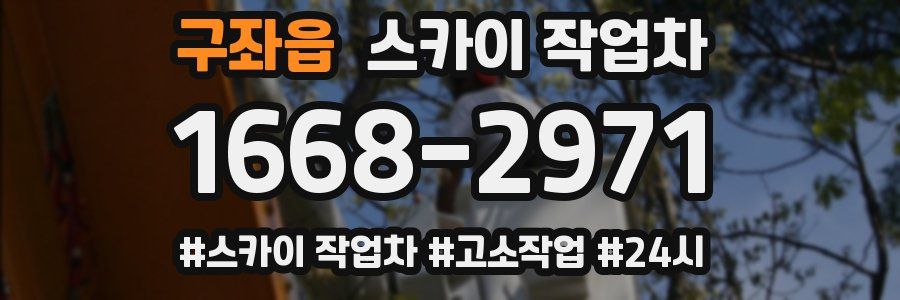 구좌읍 스카이 작업차