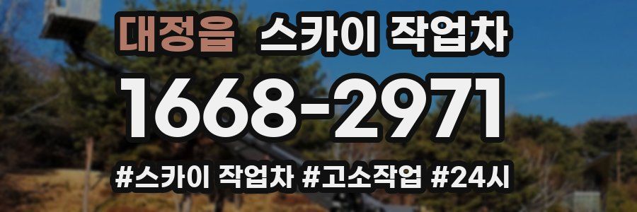 대정읍 스카이 작업차