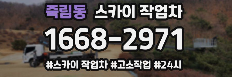 죽림동 스카이 작업차