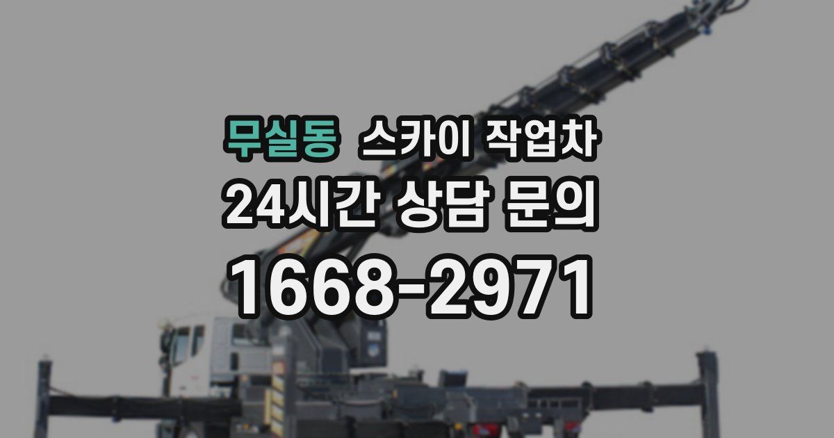 무실동 스카이 작업차