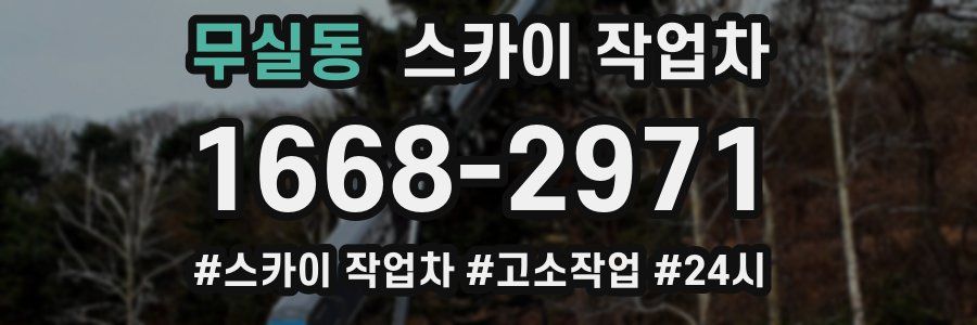 무실동 스카이 작업차