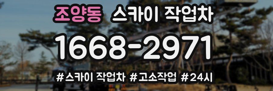 조양동 스카이 작업차