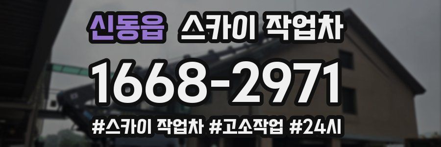 신동읍 스카이 작업차