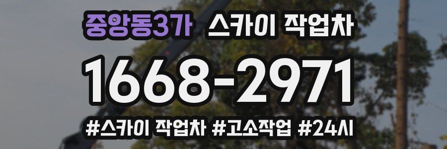 중앙동3가 스카이 작업차