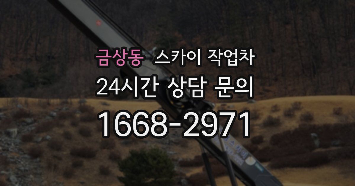 금상동 스카이 작업차
