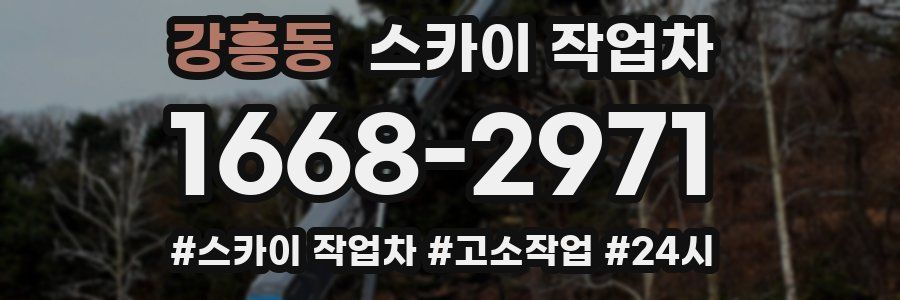 강흥동 스카이 작업차