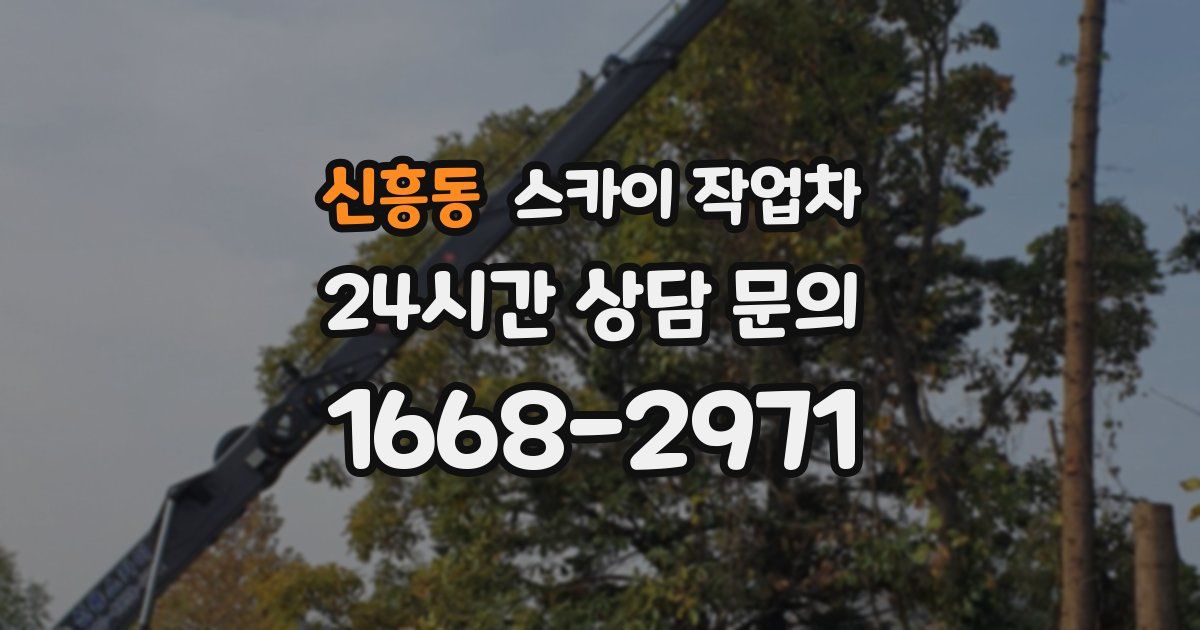 신흥동 스카이 작업차