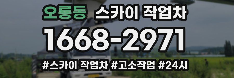 오룡동 스카이 작업차