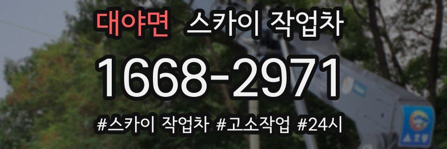 대야면 스카이 작업차