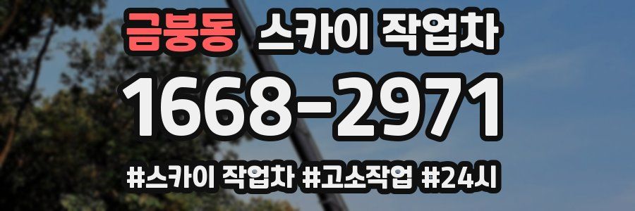 금붕동 스카이 작업차