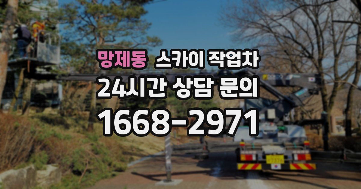 망제동 스카이 작업차