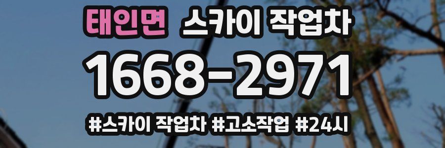 태인면 스카이 작업차