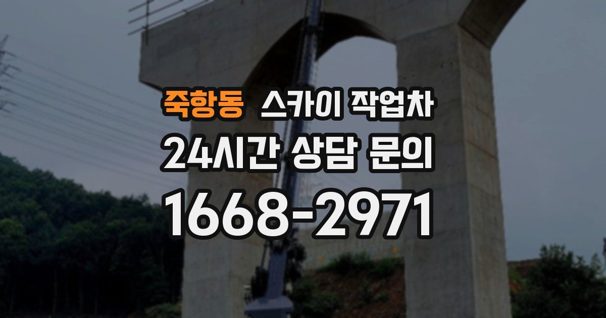 죽항동 스카이 작업차