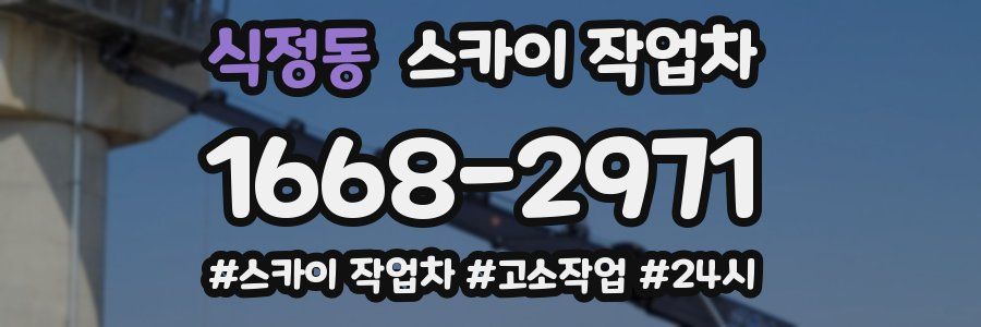식정동 스카이 작업차
