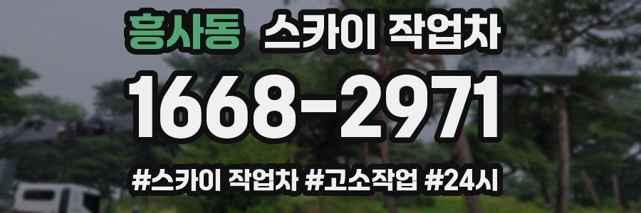 흥사동 스카이 작업차