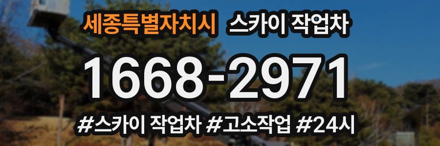 세종특별자치시 스카이 작업차