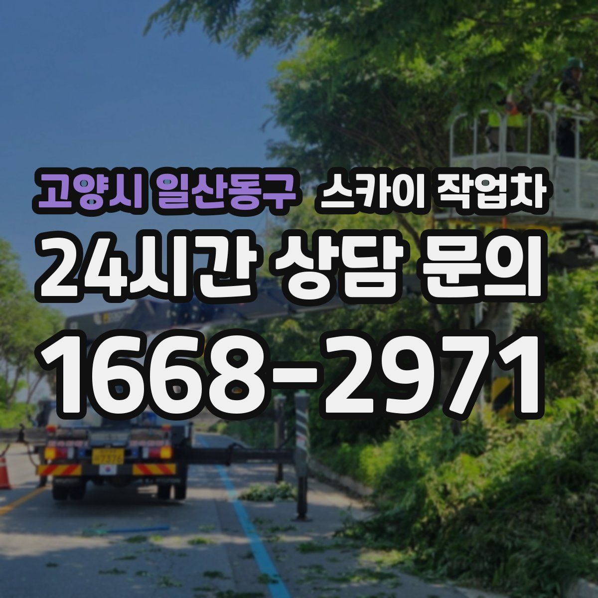 고양시 일산동구 스카이 작업차