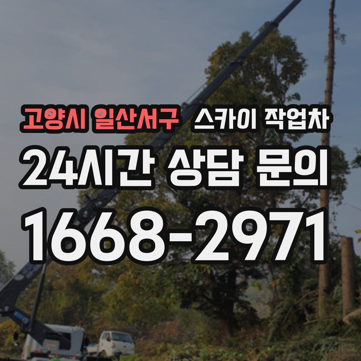 고양시 일산서구 스카이 작업차