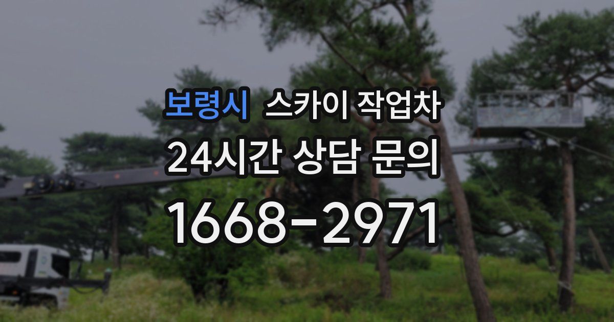 보령시 스카이 작업차
