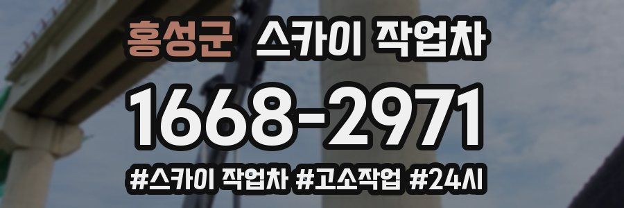 홍성군 스카이 작업차