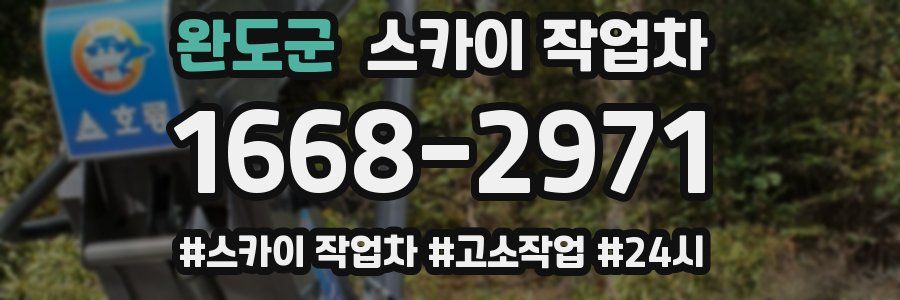 완도군 스카이 작업차