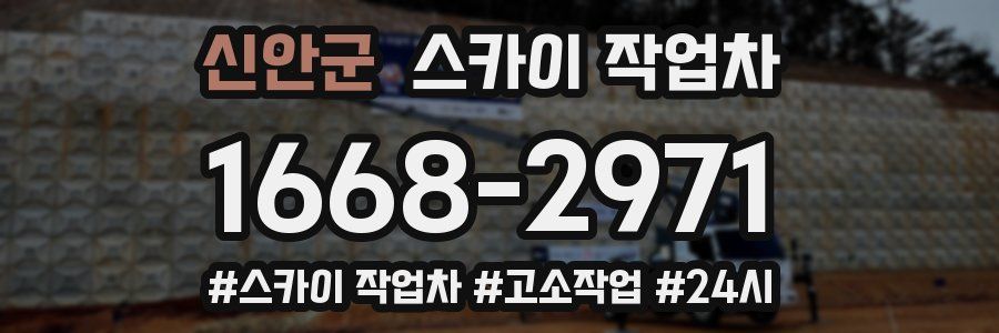 신안군 스카이 작업차