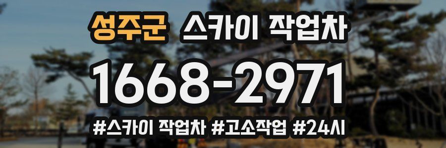 성주군 스카이 작업차