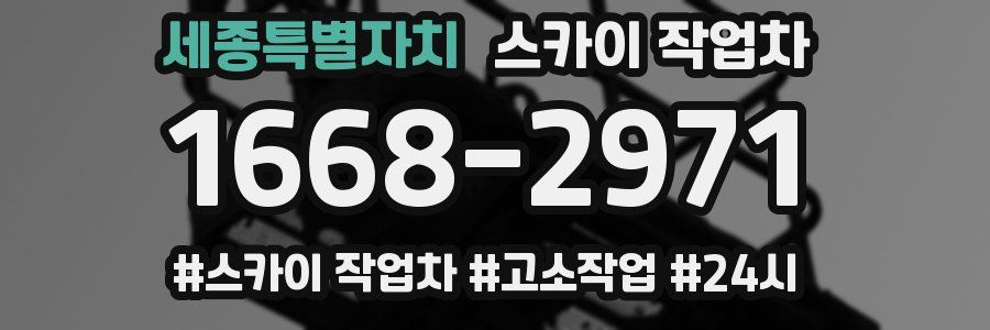 세종특별자치 스카이 작업차