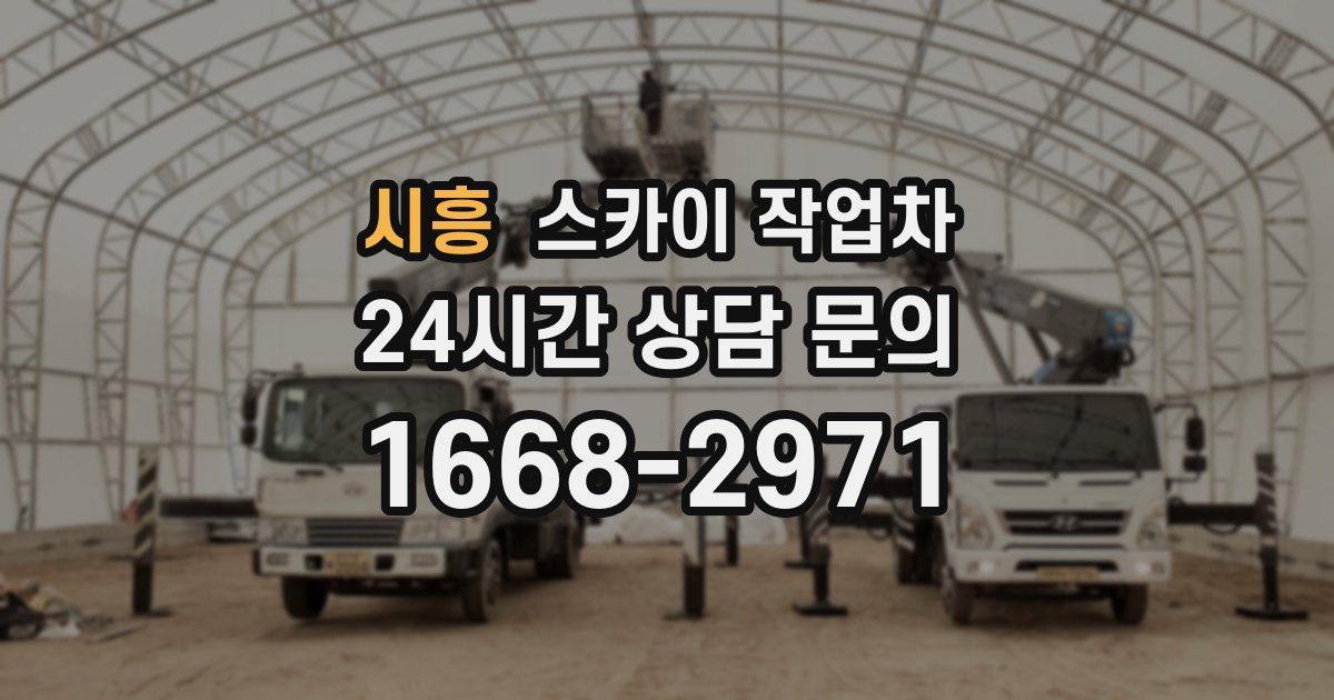 시흥 스카이 작업차