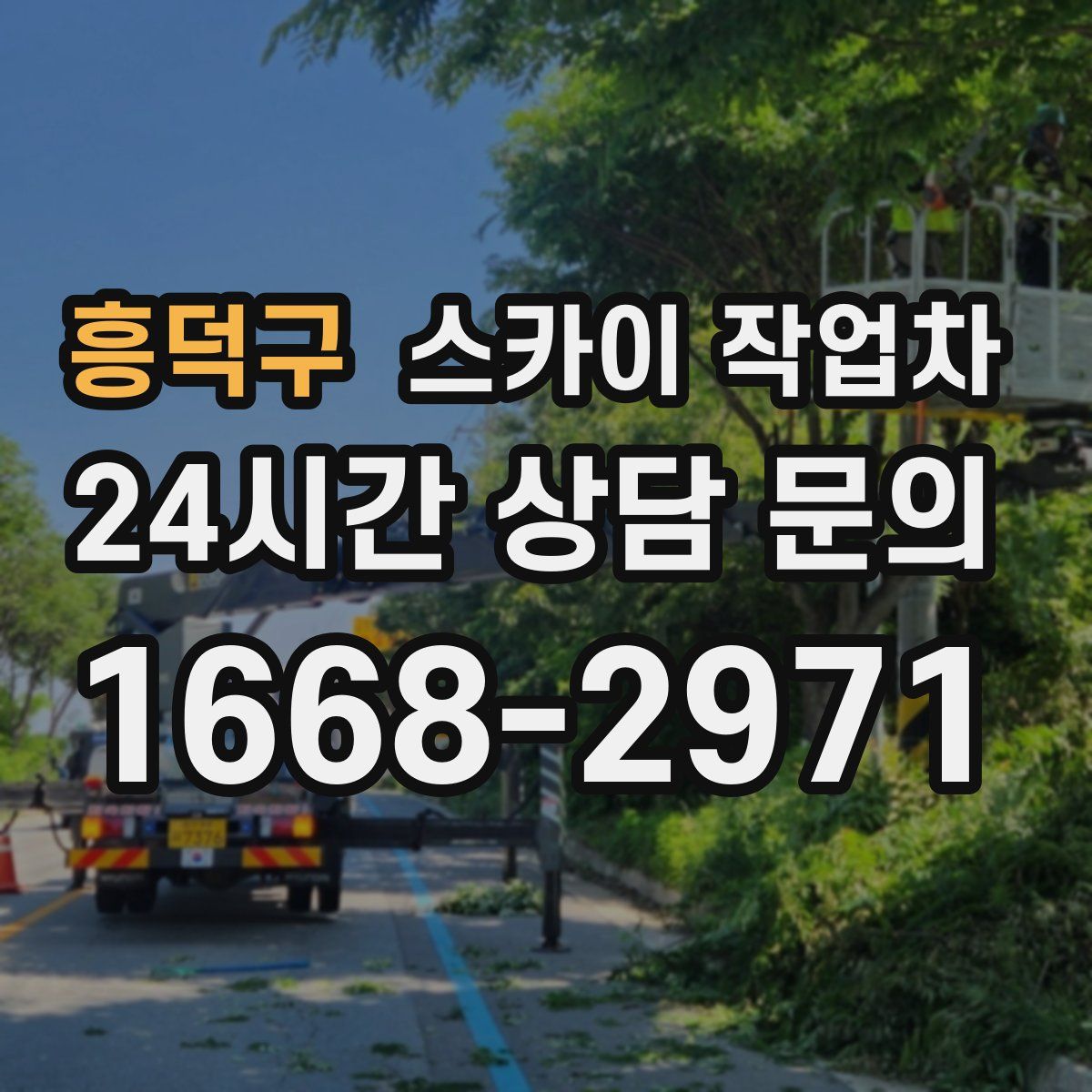 흥덕구 스카이 작업차