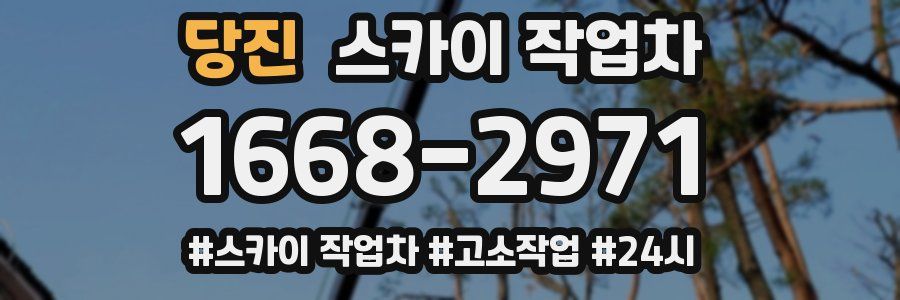 당진 스카이 작업차